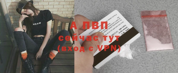тгк Ладушкин
