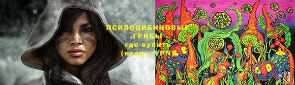 трава Беломорск