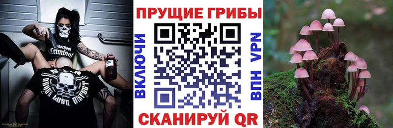 где продают наркотики  Улан-Удэ  Галлюциногенные грибы прущие грибы 